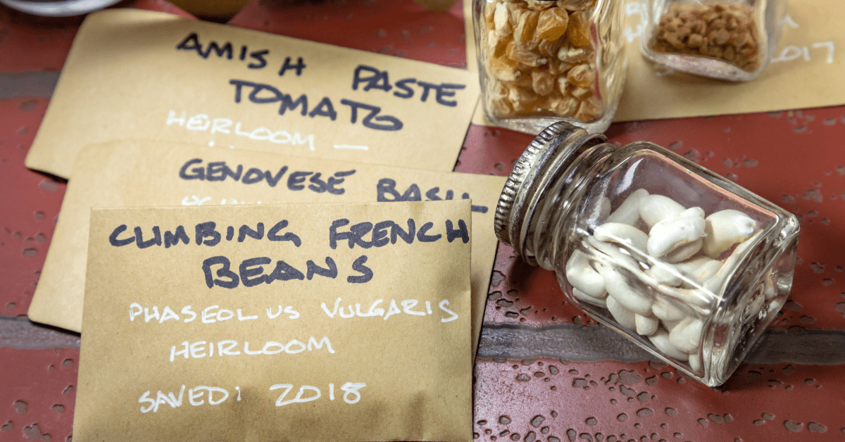 january gardening project with seeds