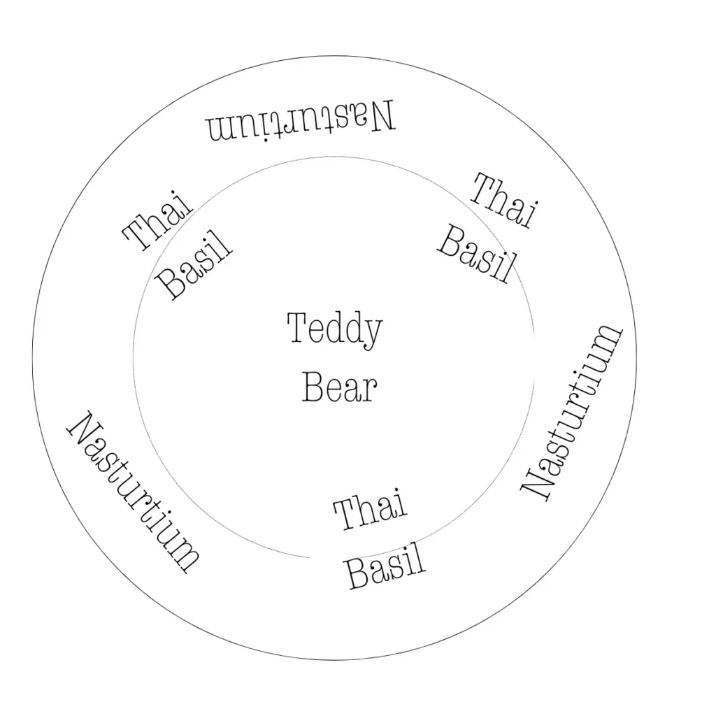 The Grow With Me Project planting design