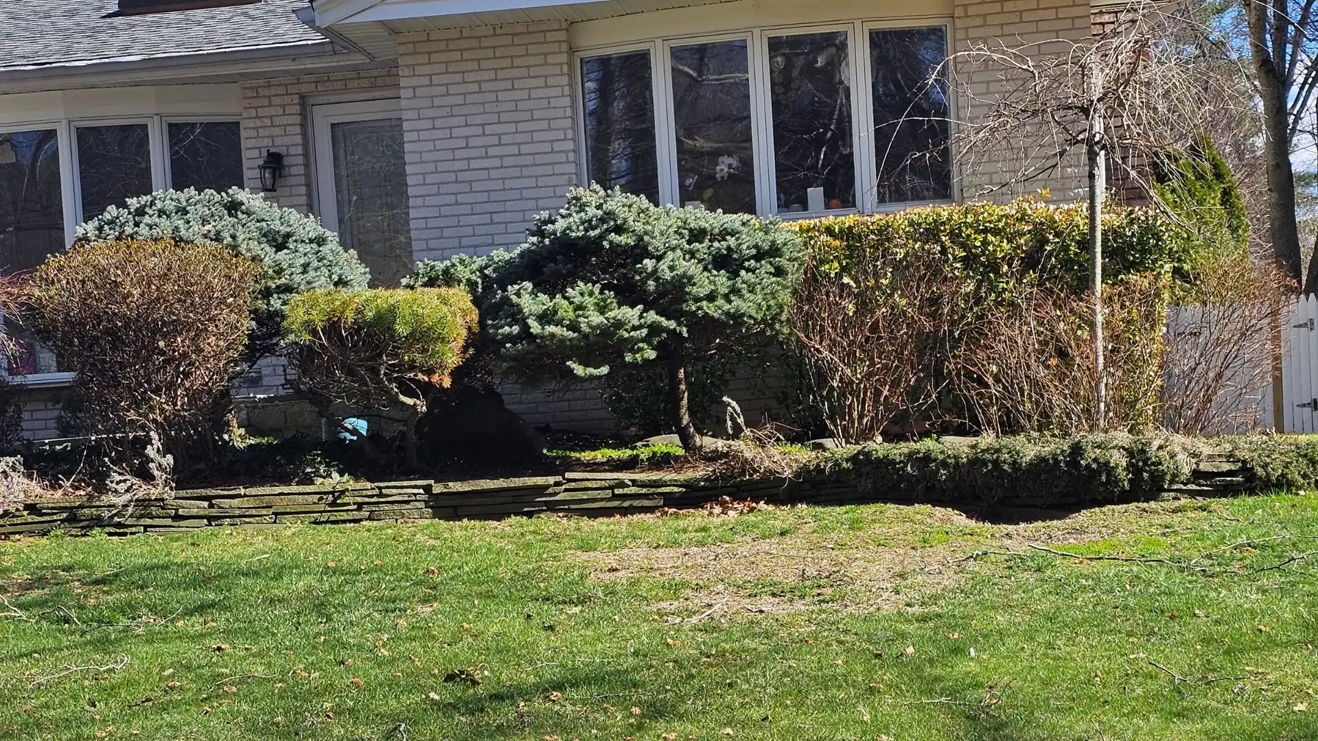 Suburban neighborhood with green lawns and shrubs but few flowers for bees