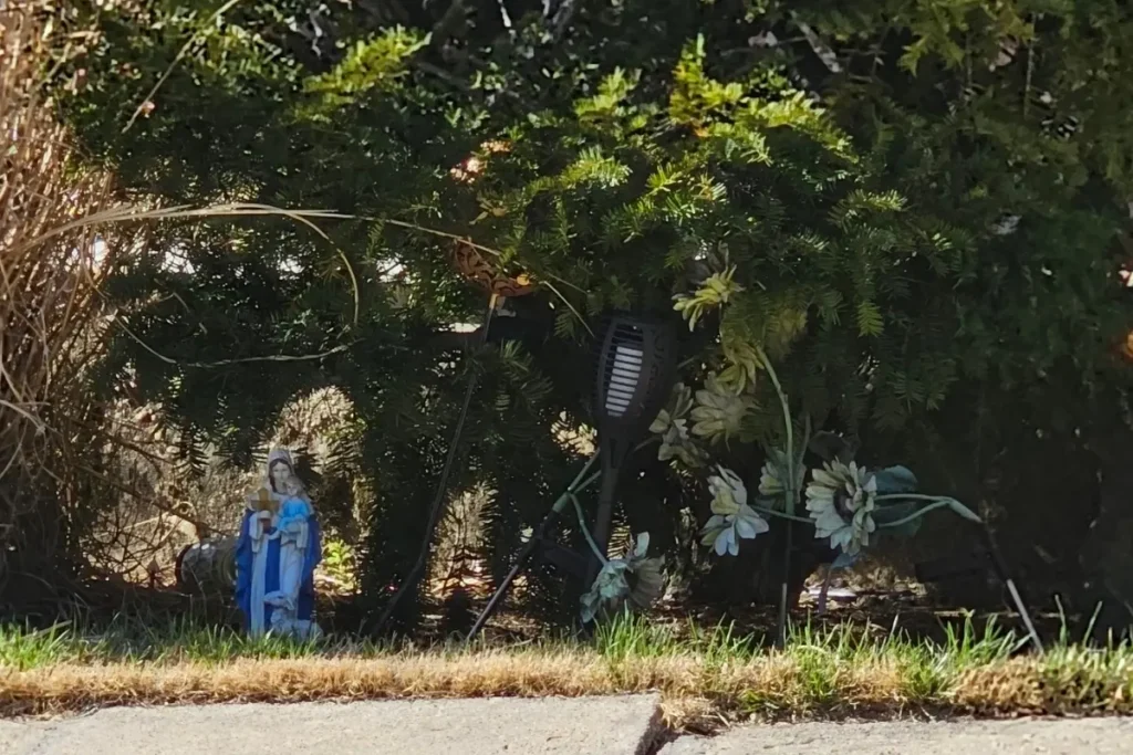 small Virgin Mary statue in garden